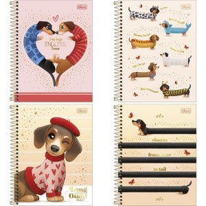 Caderno 10x1 Cp.dura Colegial Brownie Dog 120fls 177x240mm