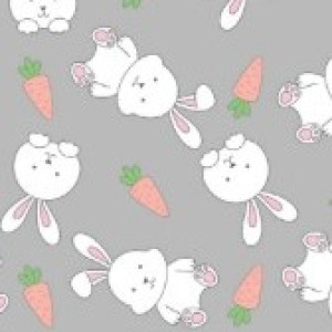 Gl Saq. P/ Pres. 10x15 Transp. - 50un - 908 Coelhinhos - única