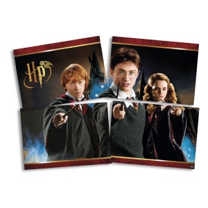 Painel 4 Lâminas Harry Potter 5 Unidades-104927