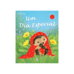 Um Dia Especial-9788538037262-82509