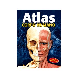 Atlas - Corpo Humano-9788538071600-65486