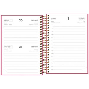 Agenda 2024 Napoli Feminina Cd Esp. 176fls-054764-91509