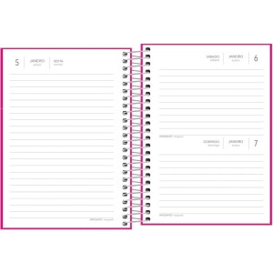 Agenda 2024 Pepper Rosa Cd Espiral 160fls-068753-65015