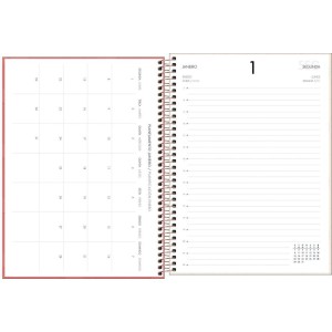 Agenda 2024 Spot Feminina Cd Esp. 200fls.-065991-46031