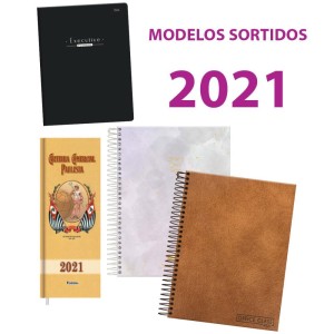 Agenda Diversa Modelos Sortidos 2021-069997-29535