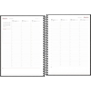 Agenda/planner 2024 Cambridge Cd Espiral 100fls-068749-96322