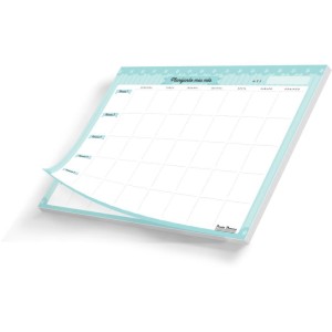 Agenda/planner Permanente Mensal De Mesa 20fls.-087187-42104