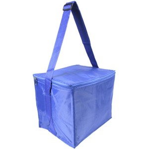 Bolsa Termica Bolsa Termica P/24 Latas Cores-085679-54517