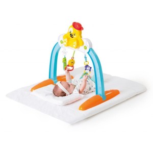 Brinquedo Para Bebe Baby Gym Pet Sortido-082674-14578