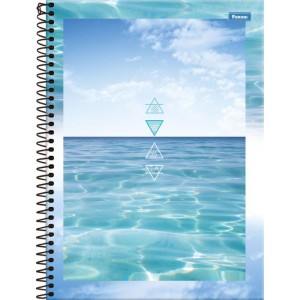 Caderno 01x1 Capa Dura 4 Elementos 80fls.-098392-39325