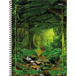 Caderno 01x1 Capa Dura 4 Elementos 80fls.-098392-77757