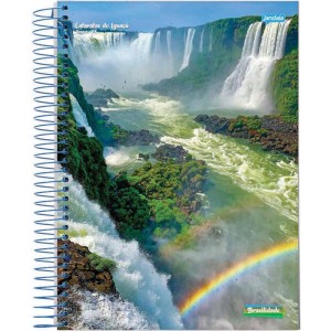 Caderno 01x1 Capa Dura Brasilidade 96fls.-016477-50097