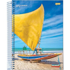 Caderno 01x1 Capa Dura Brasilidade 96fls.-016477-61487