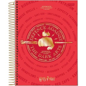 Caderno 01x1 Capa Dura Harry Potter 96fls.-066521-11746