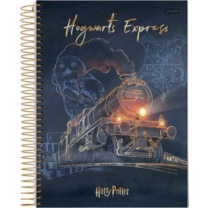 Caderno 01x1 Capa Dura Harry Potter 96fls.-066521-61732