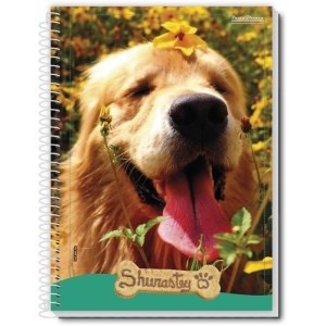 Caderno 01x1 Capa Dura Shurastey 80fls.-087183-21927