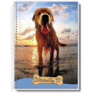 Caderno 01x1 Capa Dura Shurastey 80fls.-087183-61511