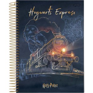 Caderno 10x1 Capa Dura Harry Potter 200fls.-066522-48544