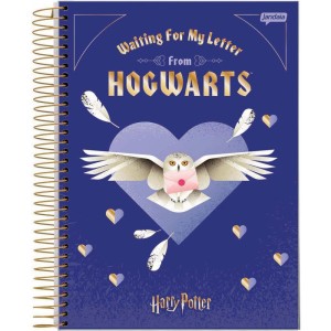 Caderno 10x1 Capa Dura Harry Potter 200fls.-066522-66654