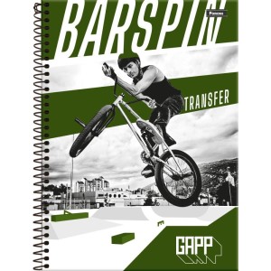 Caderno 15x1 Capa Dura Gapp 240fls.-098418-20294