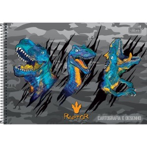 Caderno Desenho Univ Capa Dura Raptor 80fls.-081690-28234