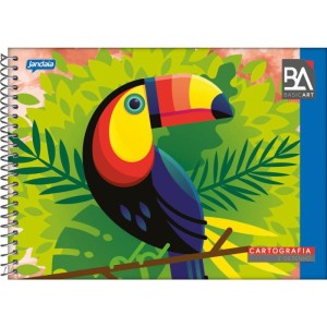 Caderno Desenho Universitario Basic Art 48fls. Esp. Horiz.-032721-13571