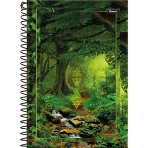 Caderno Espiral 1/4 Capa Dura 4 Elementos 160fls.-098398-63944