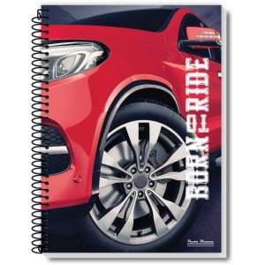 Caderno Espiral 1/4 Capa Dura Rox Masculino 48fls.-067024-44952