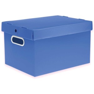 Caixa Organizadora Prontobox Azul 310x230x190 Pq-027016-24902