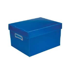 Caixa Organizadora The Best Box G 437x310x240 Az-043092-34318