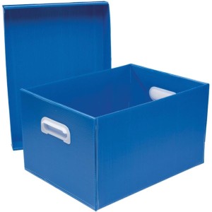 Caixa Organizadora The Best Box G 437x310x240 Az-043092-70928