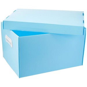 Caixa Organizadora The Best Box G 437x310x240 Azp-081948-22652