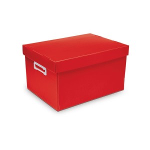 Caixa Organizadora The Best Box G 437x310x240 Vm-043093-89278