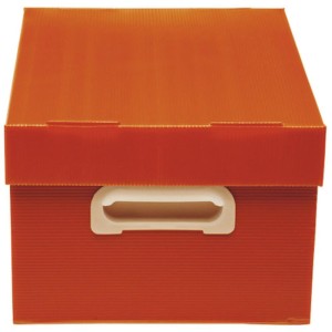 Caixa Organizadora The Best Box M 370x280x212 Vm-043097-28155