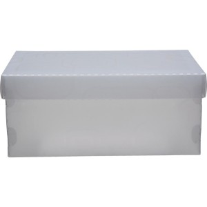 Caixa Organizadora Top Fine Sapato 28x17x12cm.cri-076735-31649