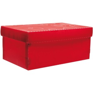 Caixa Organizadora Top Fine Sapato 28x17x12cm.vm-056980-22961