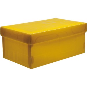 Caixa Organizadora Top Line Sapato 28x17x12cm.am-063476-80350