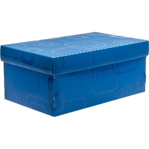 Caixa Organizadora Top Line Sapato 28x17x12cm.az-056979-32866