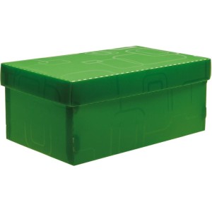 Caixa Organizadora Top Line Sapato 28x17x12cm.vd-063484-87212