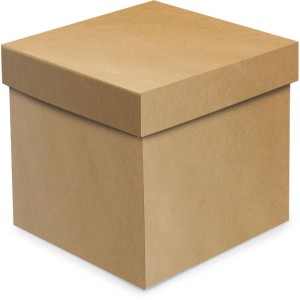 Caixa Para Presente Com Tampa Cubo Kraft M 15x15x15cm-034227-34257