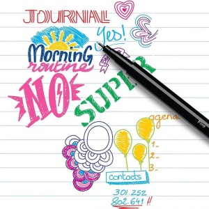 Caneta Com Ponta Porosa Intensity C/15 Sort.-100703-93608