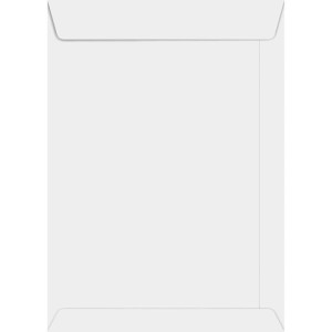 Envelope Saco Branco 240x340 90grs. 3400-008220-29963