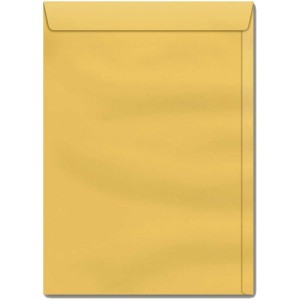 Envelope Saco Ouro 240x340 80grs. Ko 34-025978-52899