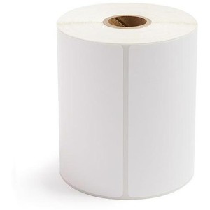 Etiqueta Adesiva Couche 100x150mmx30m-093502-13334