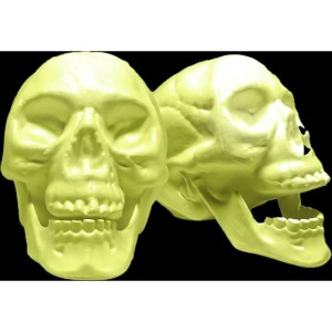 Fantasia Acessorio Halloween Kit Mini Cranio Neon-107483-43046