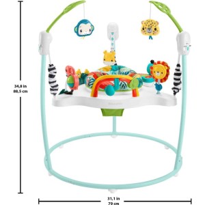 Fisher-price Baby Gear Cadeira Pula-pula Na Floresta-103436-55844