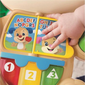 Fisher-price Infant Apr. Br. Cachorrinho Que Anda-067892-16804