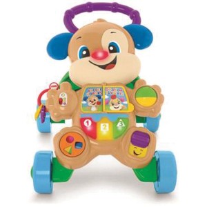 Fisher-price Infant Apr. Br. Cachorrinho Que Anda-067892-48174