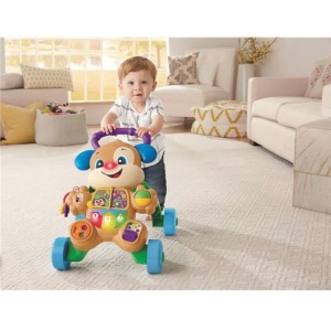 Fisher-price Infant Apr. Br. Cachorrinho Que Anda-067892-94894