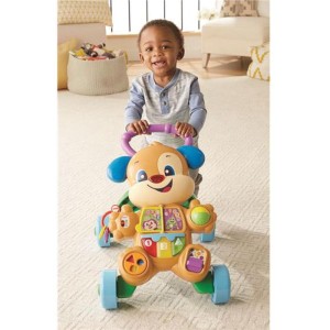 Fisher-price Infant Apr. Br. Cachorrinho Que Anda-067892-97096